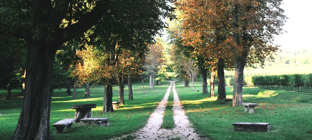 Villa Mosconi - Parco dei Poeti