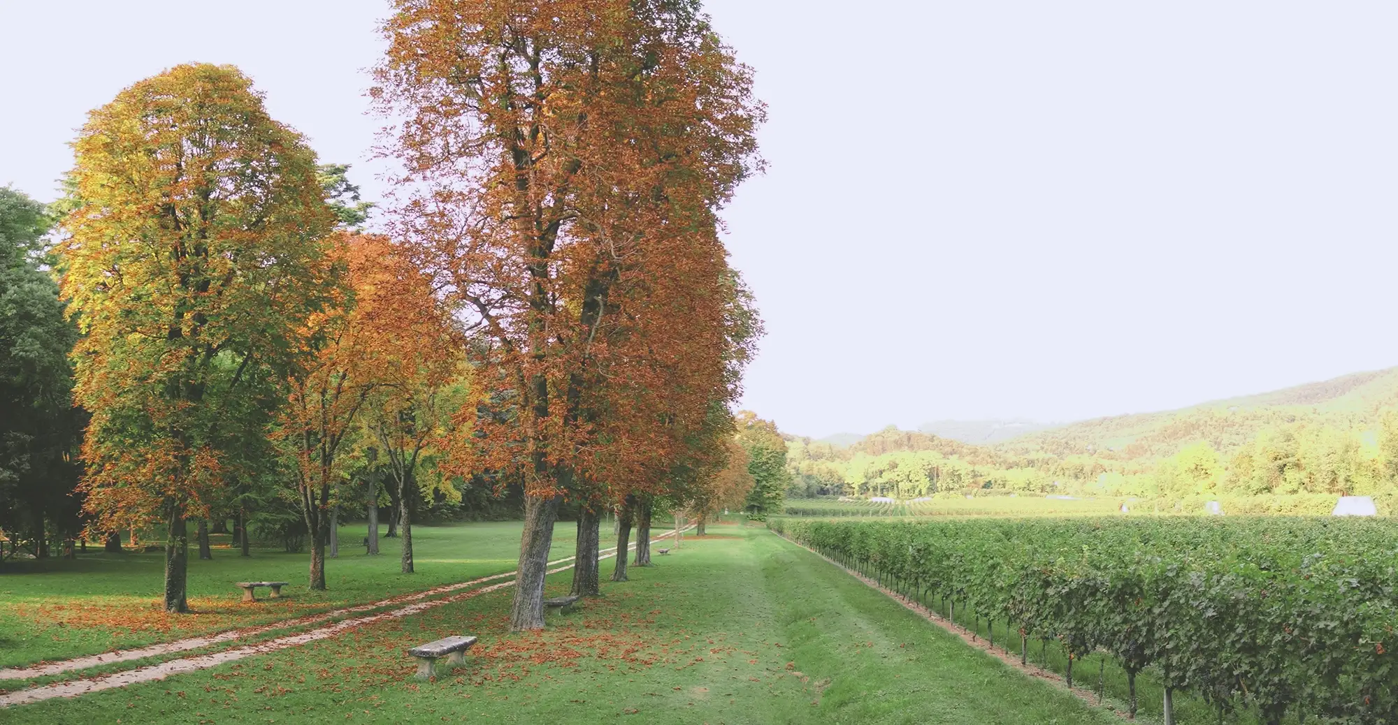 Villa Mosconi - Parco dei Poeti